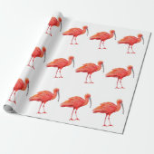 Papier Cadeau Wrapping Paper - Scarlet Ibis (Déroulé)