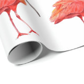 Papier Cadeau Wrapping Paper - Scarlet Ibis (Coin rond)