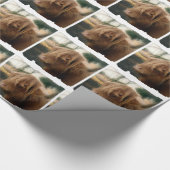 Papier Cadeau Yaks (Coin)