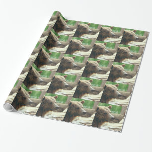 Papier Cadeau Yeux animaux de visage d'ours adorable mignon de