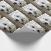 Papier Cadeau Yeux de chiot (Coin)
