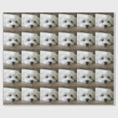 Papier Cadeau Yeux de chiot (Plat)