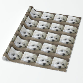 Papier Cadeau Yeux de chiot
