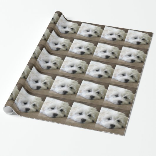 Papier Cadeau Yeux de chiot (Déroulé)