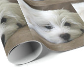 Papier Cadeau Yeux de chiot (Coin rond)