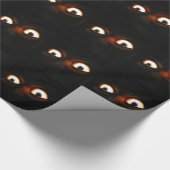 Papier Cadeau yeux de nuit (Coin)