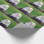 Papier Cadeau Yeux d'un aigle chauve (Coin)