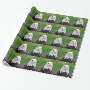 Papier Cadeau Yeux d'un aigle chauve