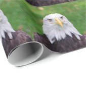 Papier Cadeau Yeux d'un aigle chauve (Coin rond)