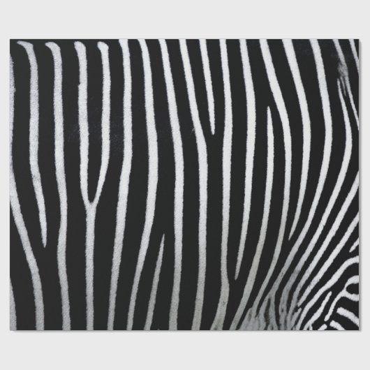 Papier Cadeau Zebra Skin (Plat)