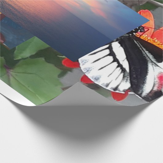 Papier Cadeau Zebra tail butterfly (Coin)