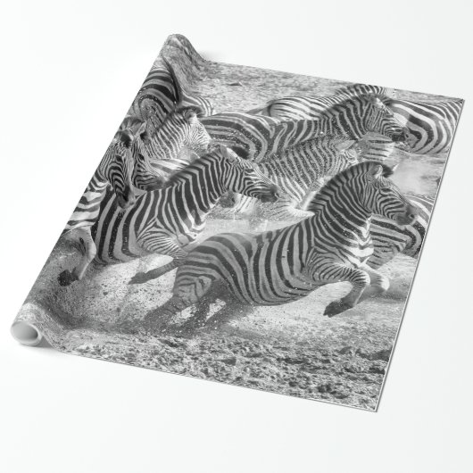 Papier Cadeau Zebras running (Déroulé)