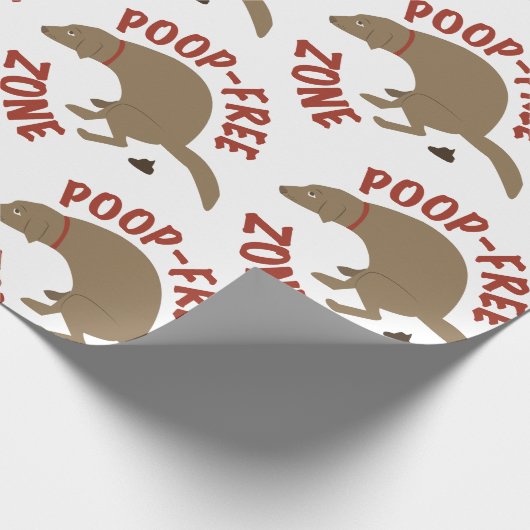 Papier Cadeau Zone sans pop (Coin)