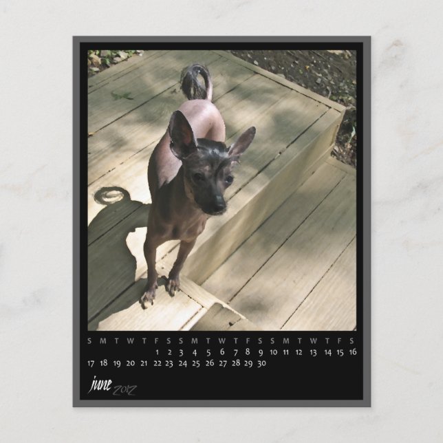 Papier calendrier de juin 2012 (Devant)