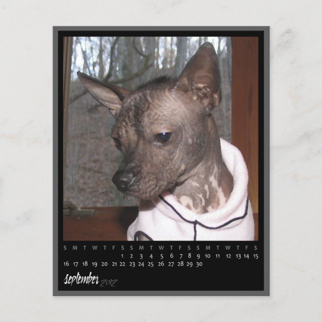 Papier calendrier de septembre 2012 (Devant)