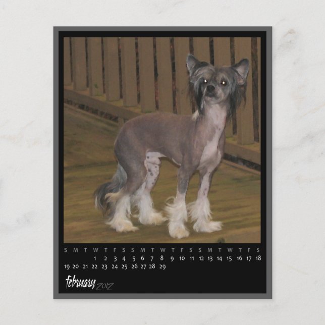 Papier calendrier février 2012 (Devant)