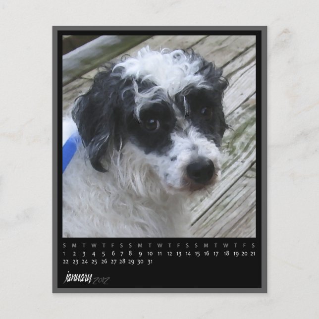 Papier calendrier janvier 2012 (Devant)