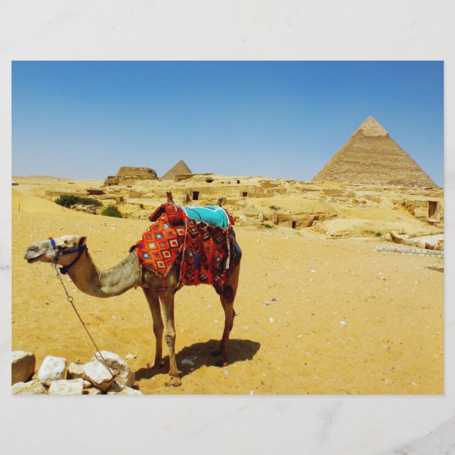 Papier Camel (Devant)