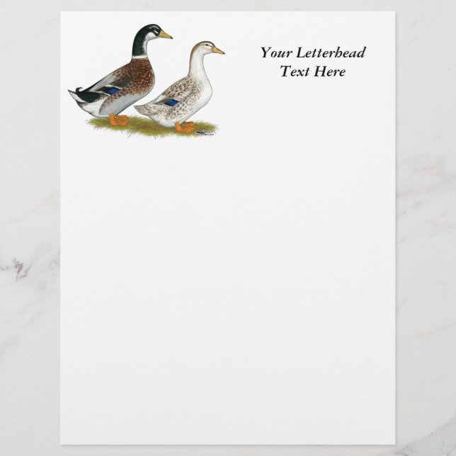 Papier Canards : Joyeuse Argent (Devant)