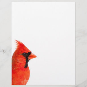 Papier Cardinal Bird
