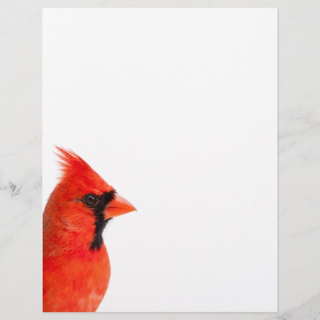 Papier Cardinal Bird (Devant)