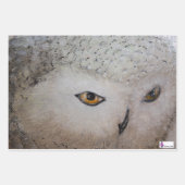 Papier cardinal, hibou et écorce commune (Devant 2)