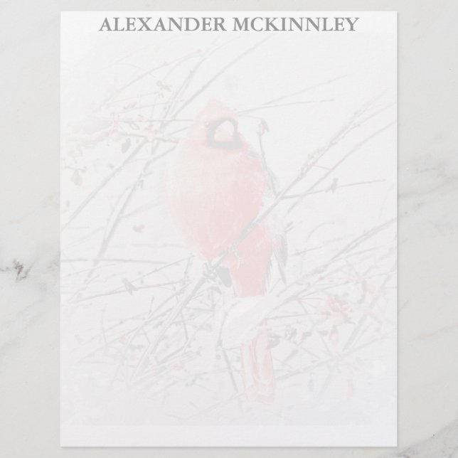 PAPIER CARDINAL HOMME D'HIVER (Devant)