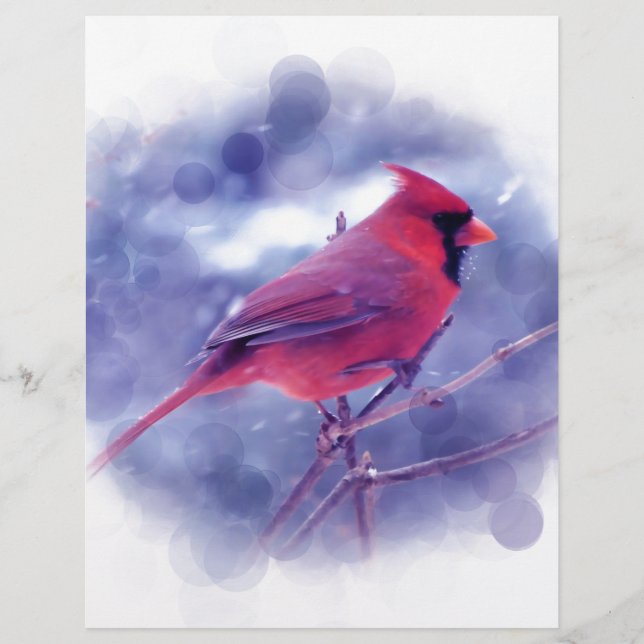 Papier Cardinal rouge au Blizzard (Devant)