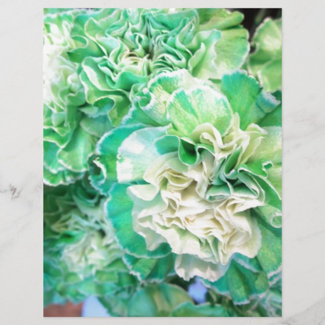 Papier Carnation verte (Devant)
