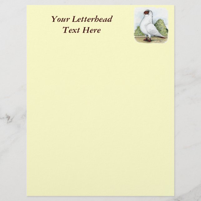 Papier Casque : Pigeon rouge (Devant)