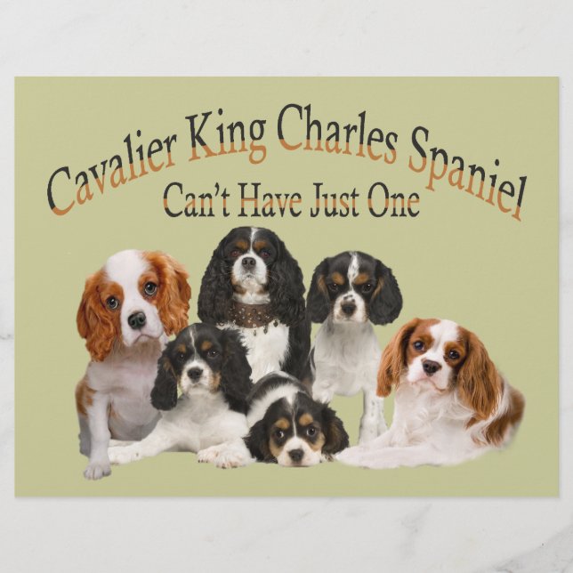 Papier Cavalier Le roi Charles Spaniel ne peut pas avoir  (Devant)