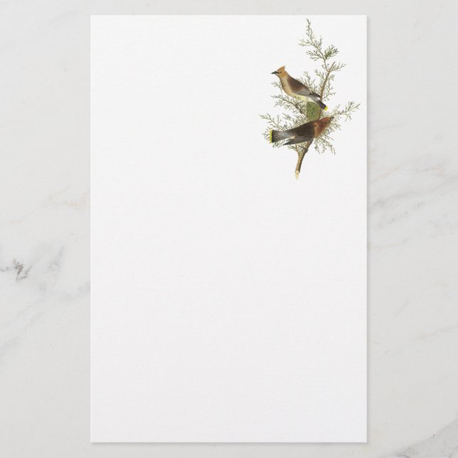 Papier Cèdre à cire, John Audubon (Devant)