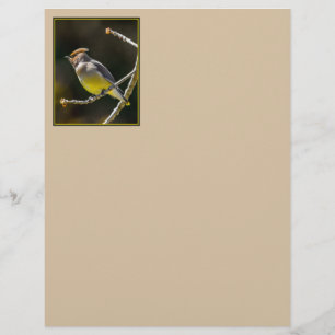 Papier Cèdre cire Songbird Photo originale Oiseau sauvage