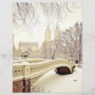Papier Central Park Neige - Hiver New York