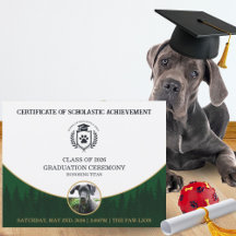 Certificat de fin d'études pour animaux Diplôme de