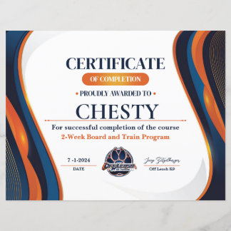 Papier Certificat no 13