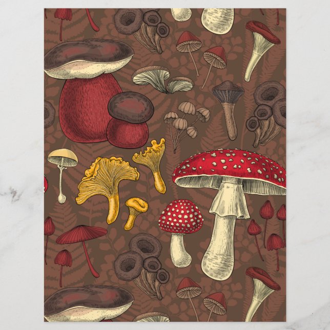 Papier Champignons sauvages sur brun (Devant)