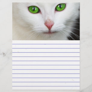 Papier Chat blanc à l'oeil vert