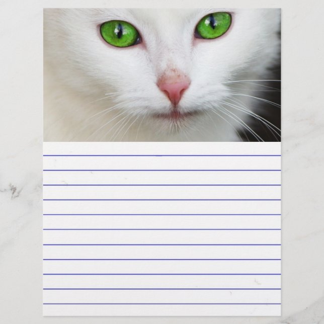Papier Chat blanc à l'oeil vert (Devant)