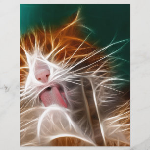 Papier chat chaton minous mignon animal familier ronron m