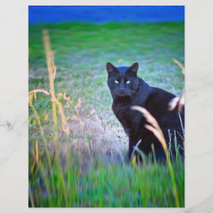 Papier Chat Noir