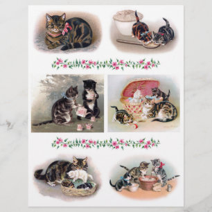 Papier Chats anciens d'Hélène Maguire avec des chatons dé