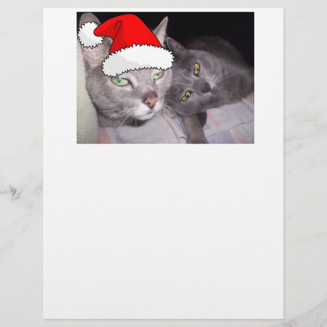 Papier Chats de Noël (Devant)