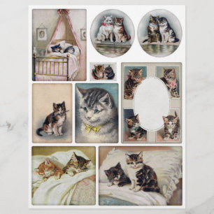 Papier Chats Vintages Helena Maguire authentique (pas AI)