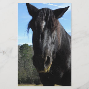 Papier Cheval à bascule noir secouru