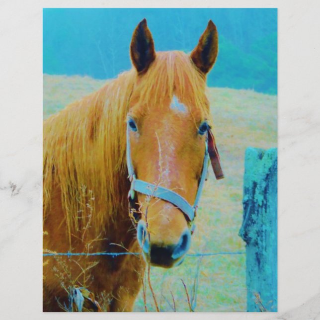 Papier Cheval bleu Denim teinté (Devant)