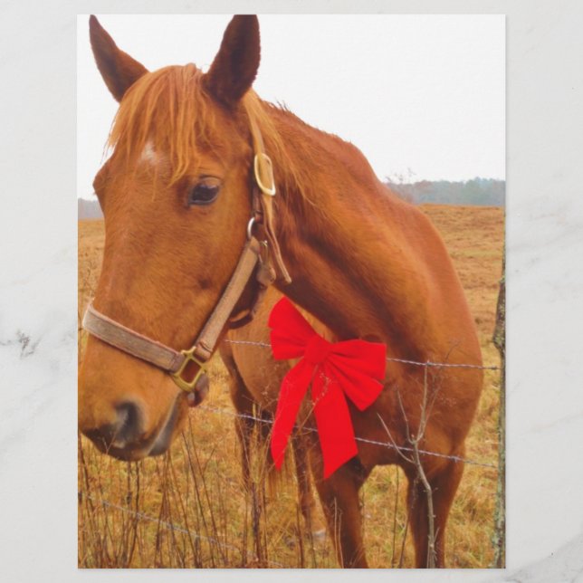Papier Cheval Brown Bow (Devant)