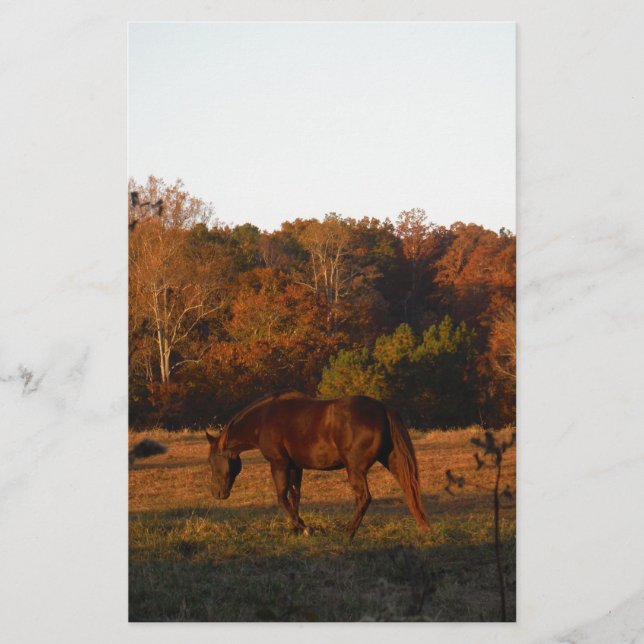 Papier Cheval Brown rouge, bois d'automne. (Devant)