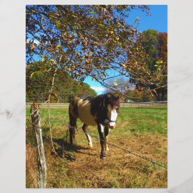 Papier Cheval Peint, (Devant)