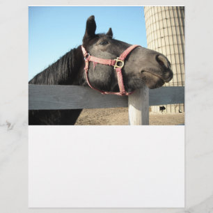 Papier Cheval/Ranch/Grange
